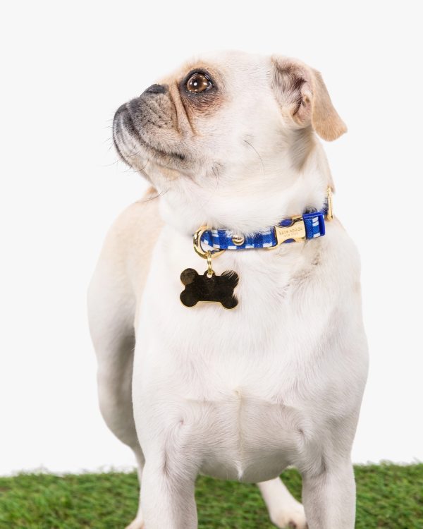 Kate Spade Navy Gingham Collar XS