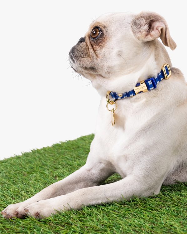 Kate Spade Navy Gingham Collar XS