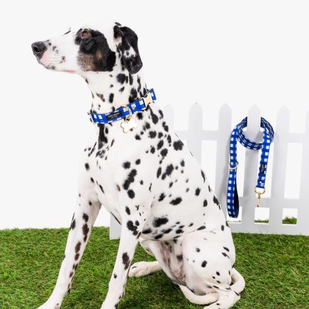 Kate Spade Navy Gingham Leash S/M