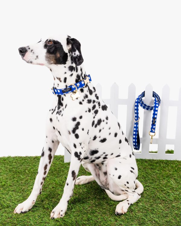 Kate Spade Navy Gingham Leash S/M