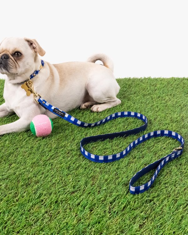 Kate Spade Navy Gingham Leash S/M