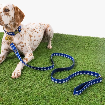 Kate Spade Navy Gingham Leash M/L