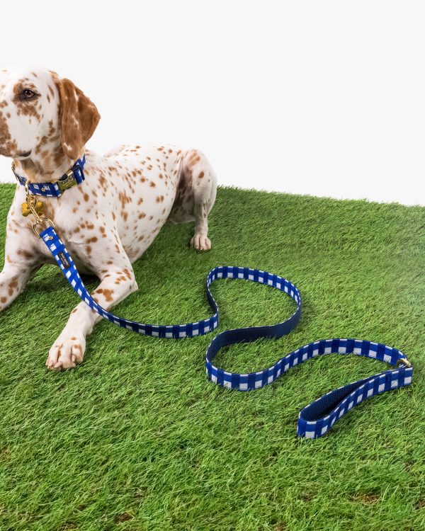 Kate Spade Navy Gingham Leash M/L