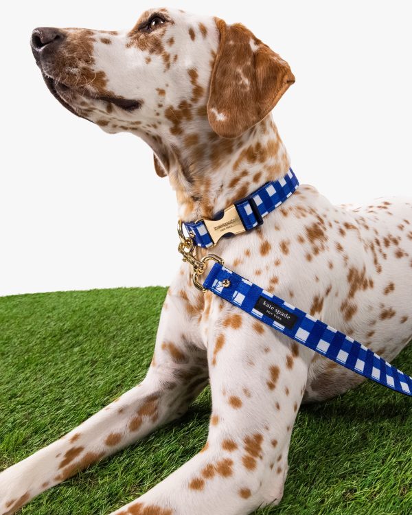 Kate Spade Navy Gingham Leash M/L