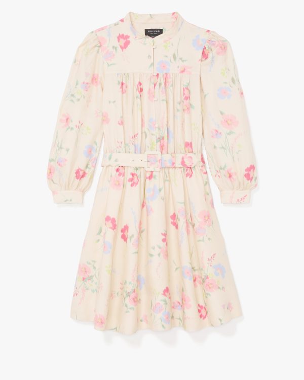 Kate Spade Whimsical Garden Belted Shirt Dress