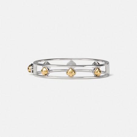 Silver / Gold