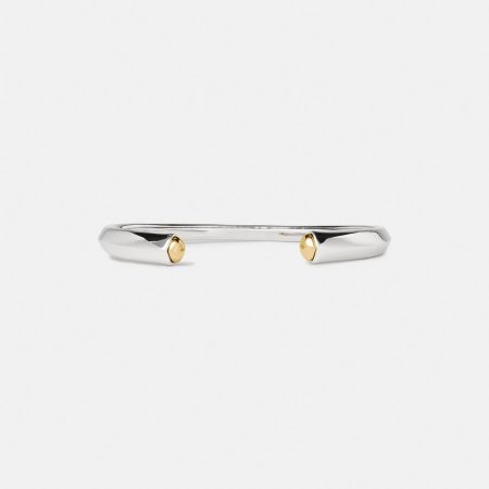 Silver / Gold