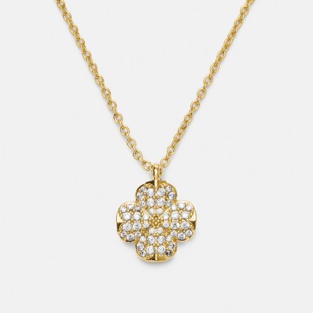 Clear / Gold