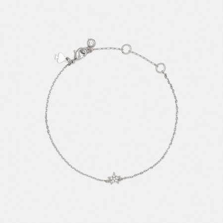 Clear / Silver