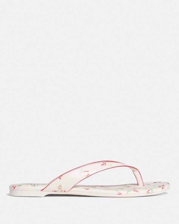 Kate Spade Sandie Flip Flop Sandal