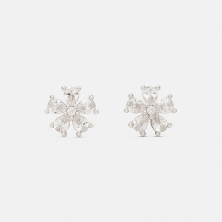 Clear / Silver
