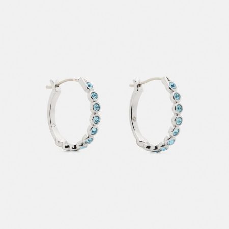 Blue / Silver