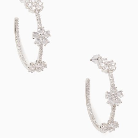 Clear / Silver