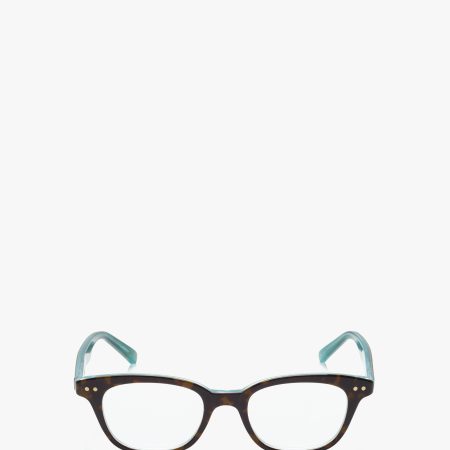Aqua Tortoise