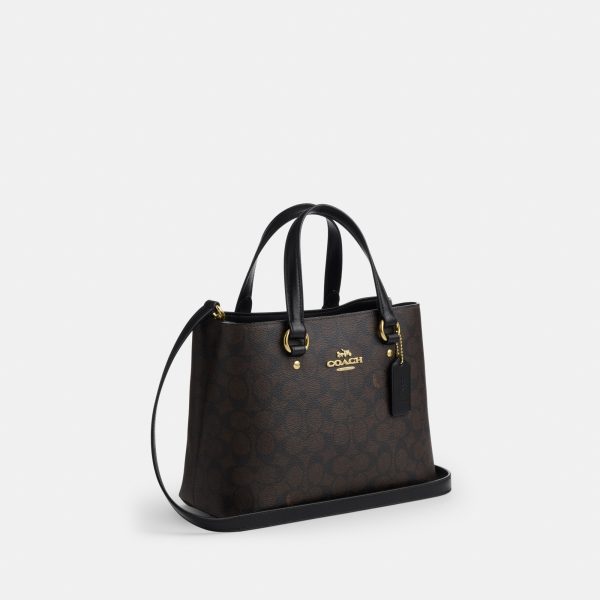 Coach Station Carryall Bag In Signature Canvas - Preorder