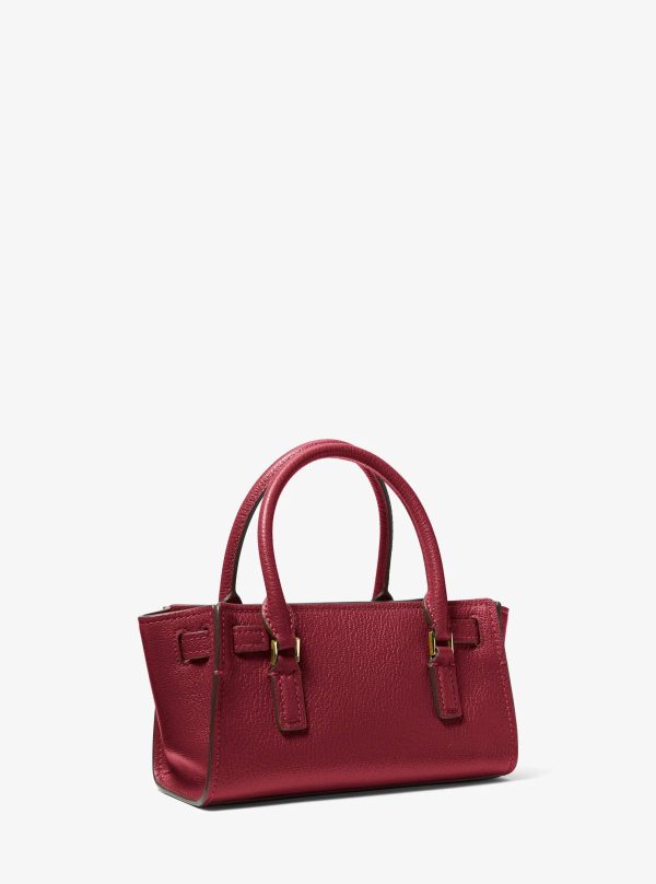 Michael Kors Hamilton Extra-Small Leather Crossbody Bag - Preorder
