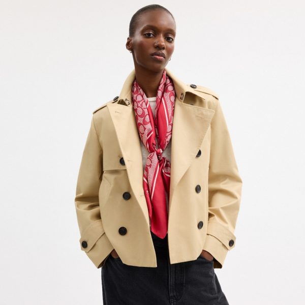 Coach Outlet Textured Signature Print Silk Square Scarf - Preorder