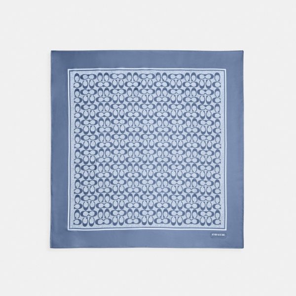 Coach Outlet Textured Signature Print Silk Square Scarf - Preorder