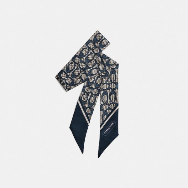 Coach Outlet Textured Signature Print Silk Skinny Scarf - Preorder