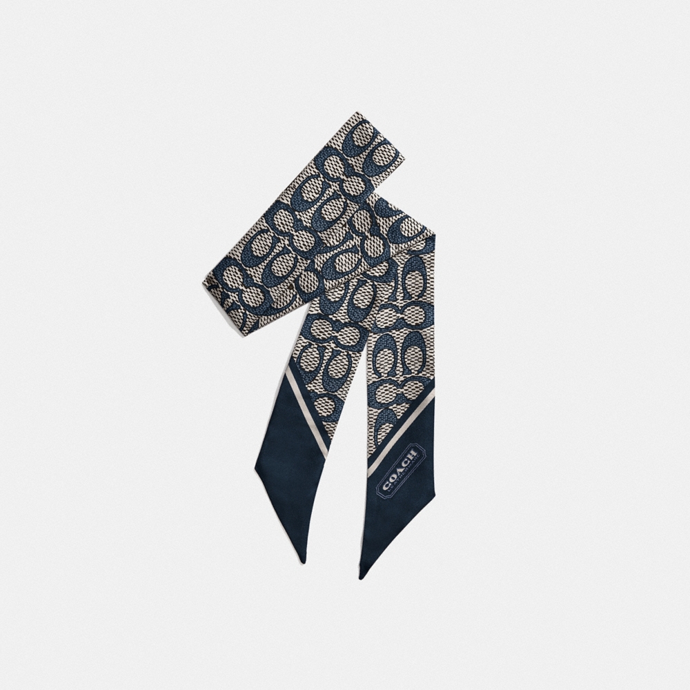 Coach Outlet Textured Signature Print Silk Skinny Scarf - Preorder