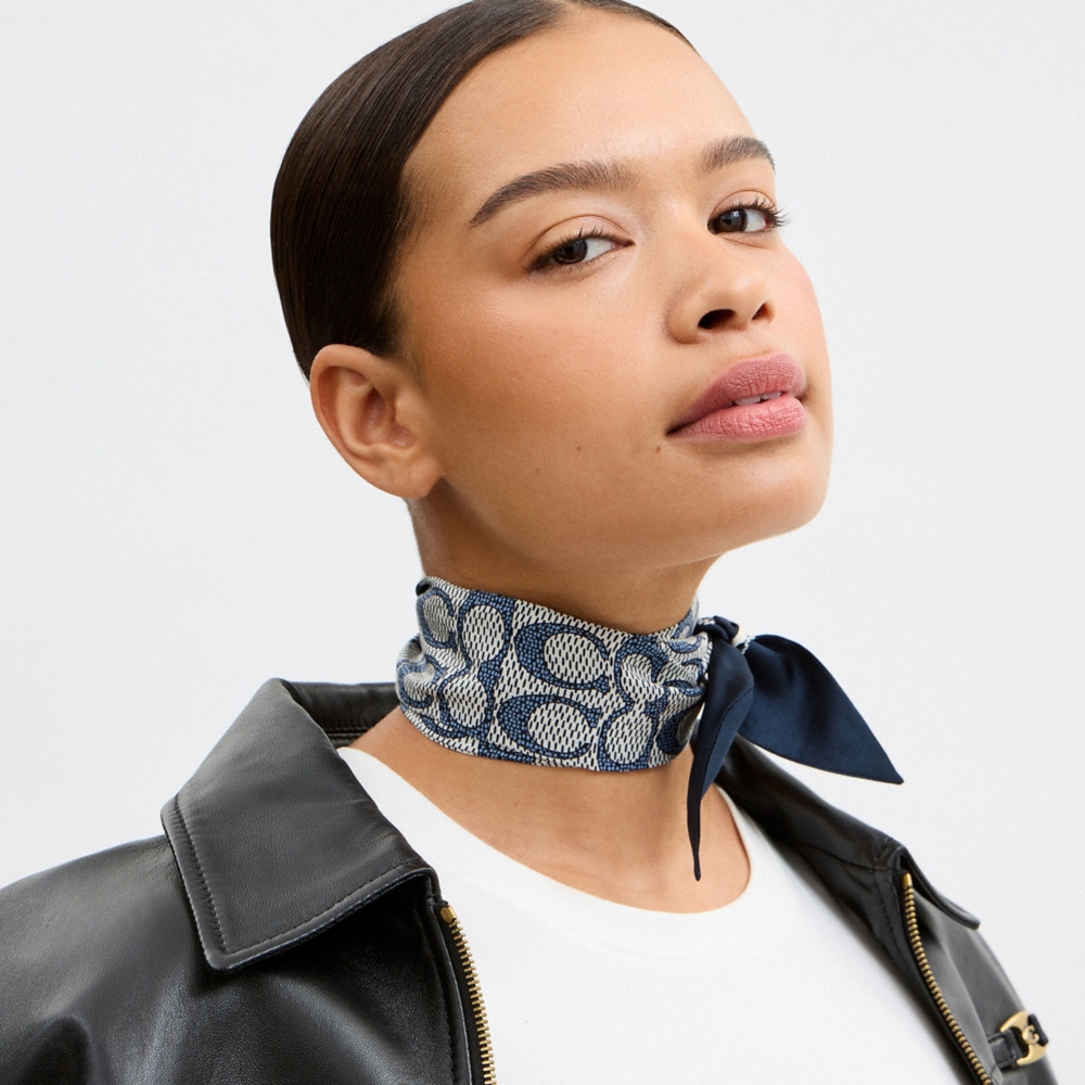 Coach Outlet Textured Signature Print Silk Skinny Scarf - Preorder