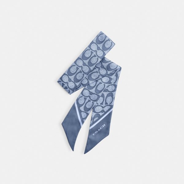 Coach Outlet Textured Signature Print Silk Skinny Scarf - Preorder