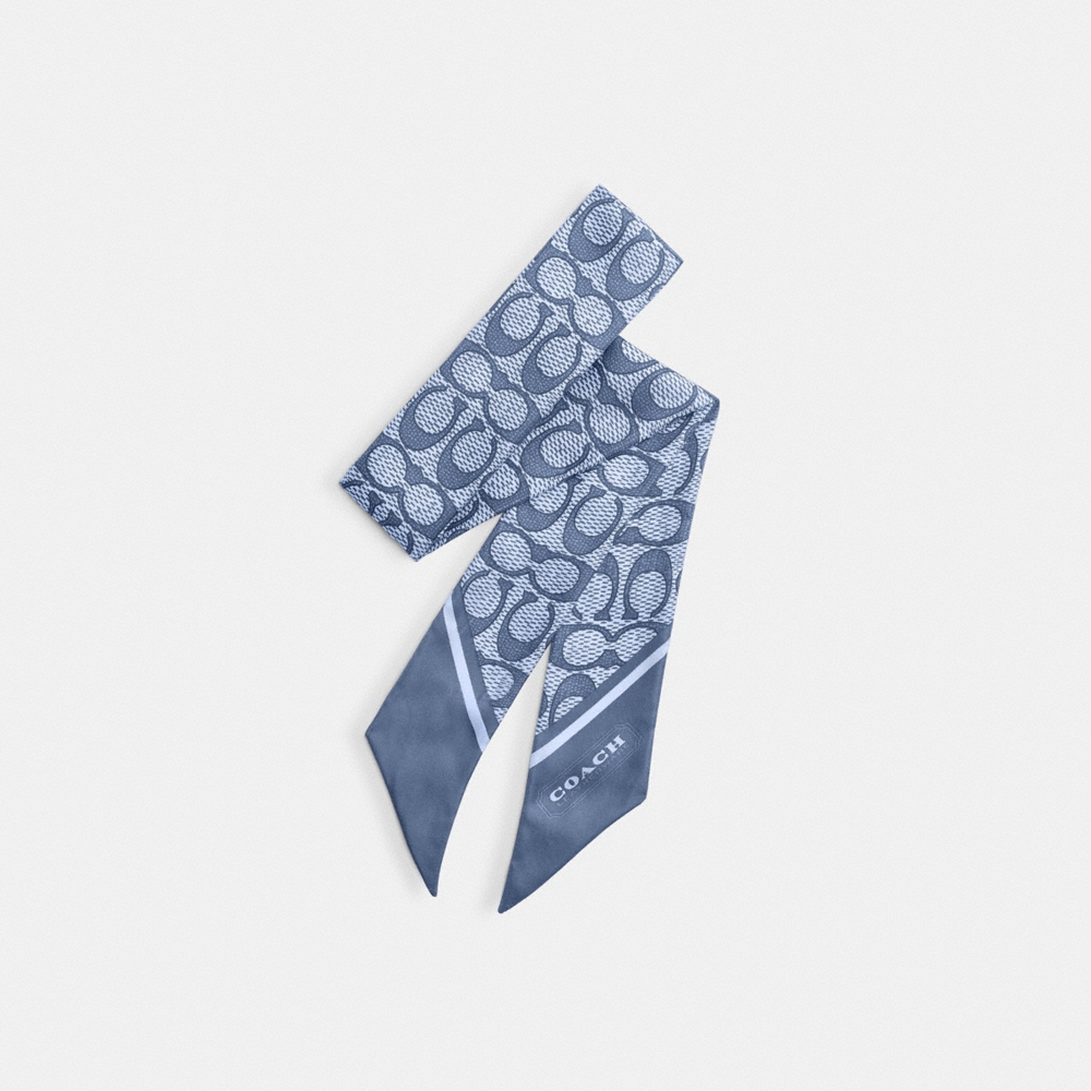 Coach Outlet Textured Signature Print Silk Skinny Scarf - Preorder