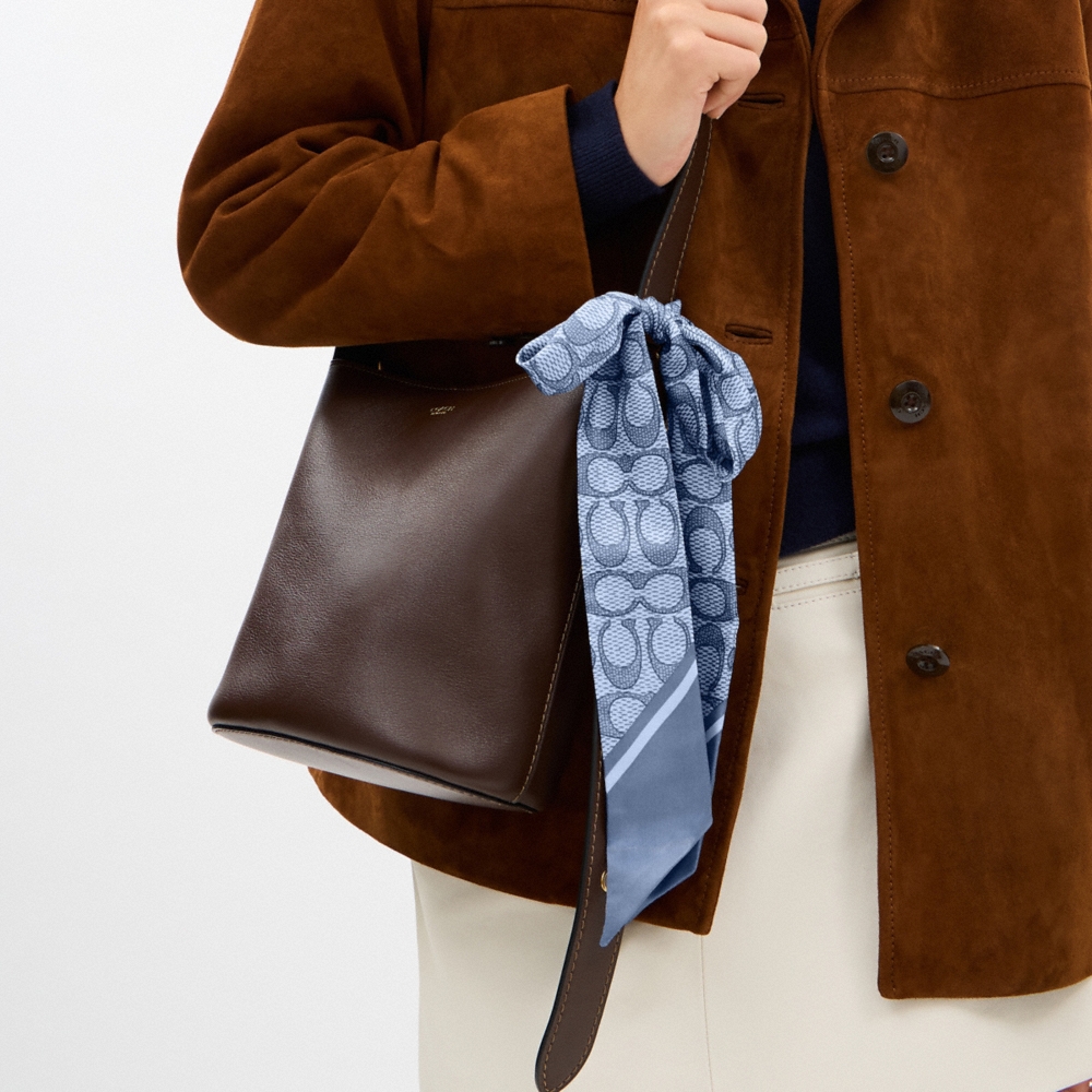 Coach Outlet Textured Signature Print Silk Skinny Scarf - Preorder