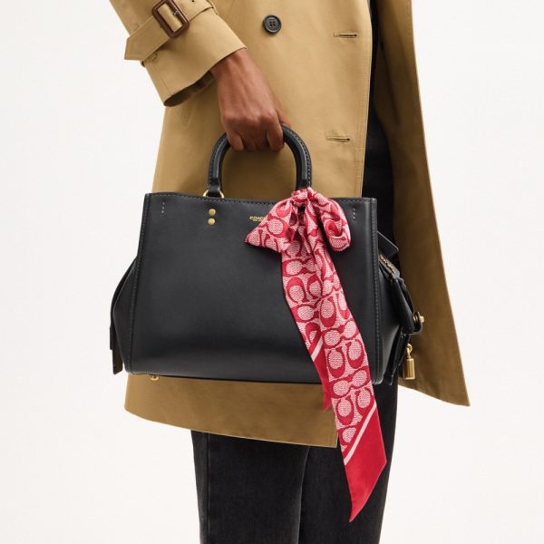 Coach Outlet Textured Signature Print Silk Skinny Scarf - Preorder
