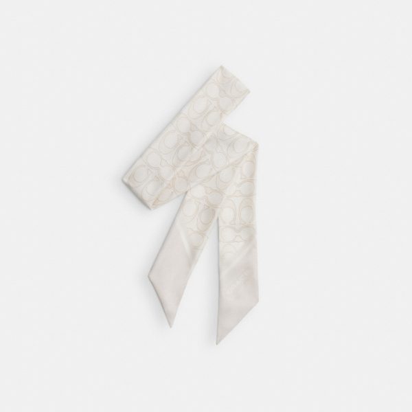 Coach Outlet Textured Signature Print Silk Skinny Scarf - Preorder
