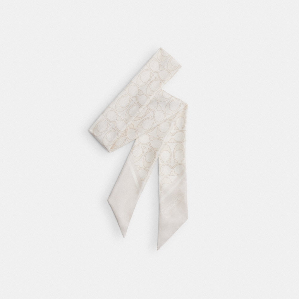 Coach Outlet Textured Signature Print Silk Skinny Scarf - Preorder