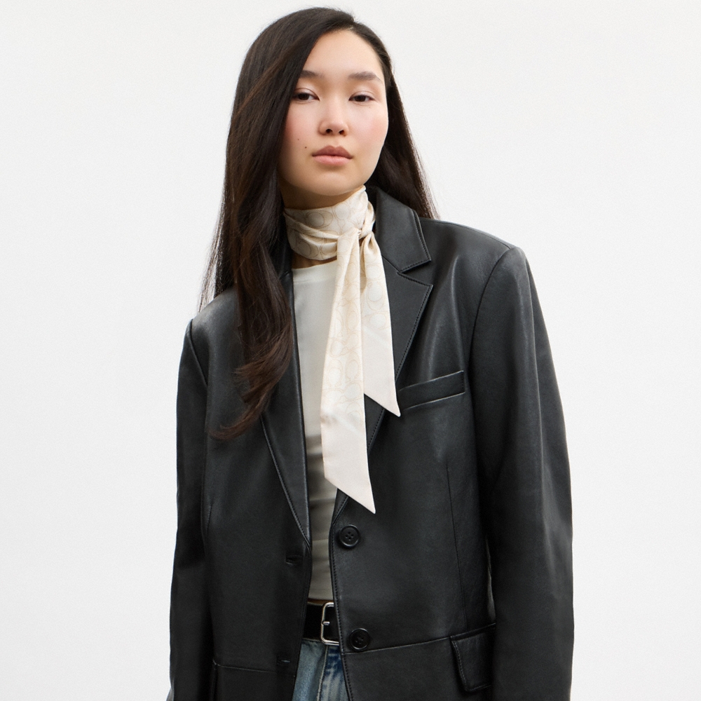 Coach Outlet Textured Signature Print Silk Skinny Scarf - Preorder