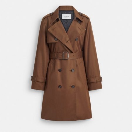 Chocolate Brown