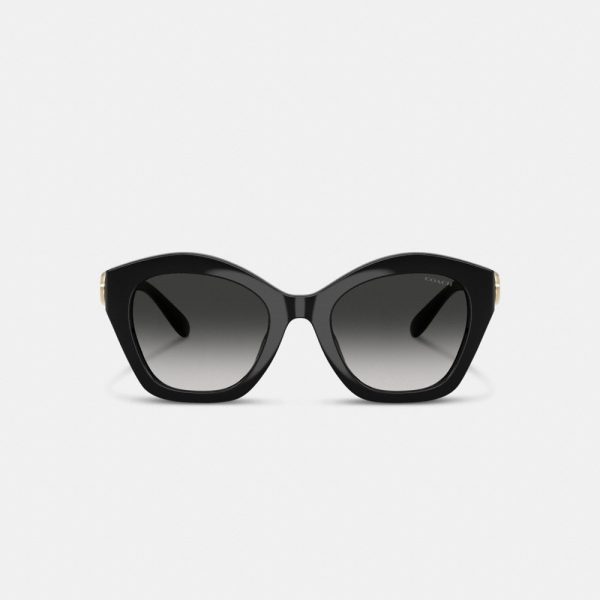 Coach Maxi Sculpted C Oversized Geometric Sunglasses - Preorder