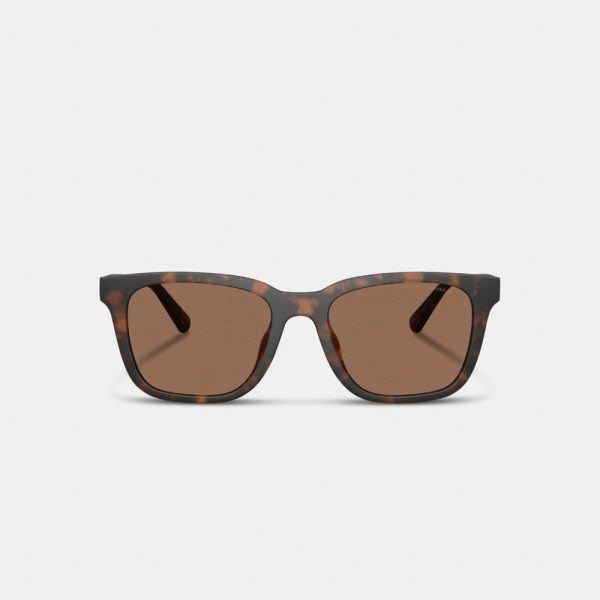 Coach C Hardware Textured Temple Square Sunglasses - Preorder