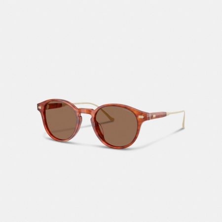 Coach Outlet Signature Round Sunglasses - Preorder — Caramel Tortoise