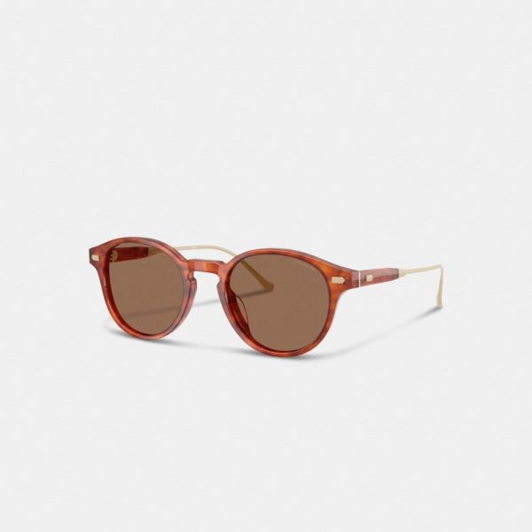 Coach Outlet Signature Round Sunglasses - Preorder