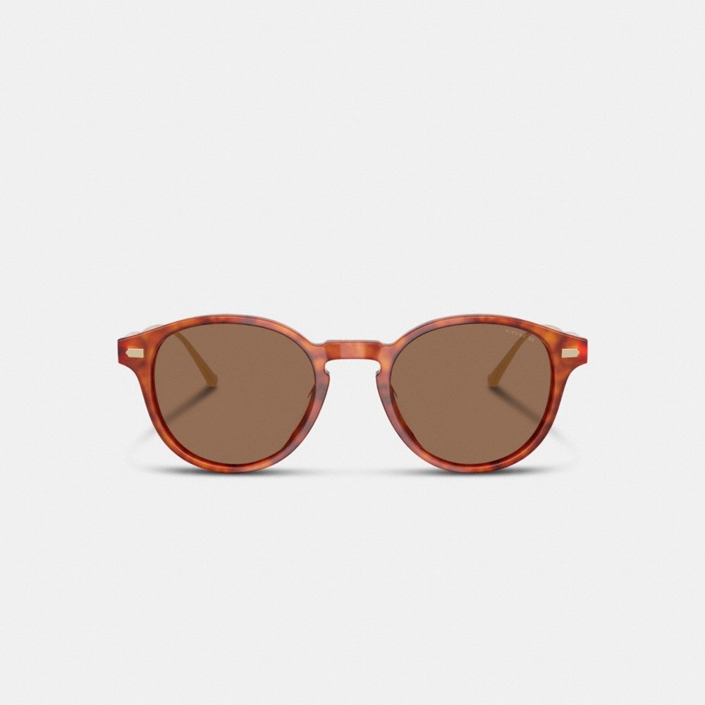 Coach Outlet Signature Round Sunglasses - Preorder