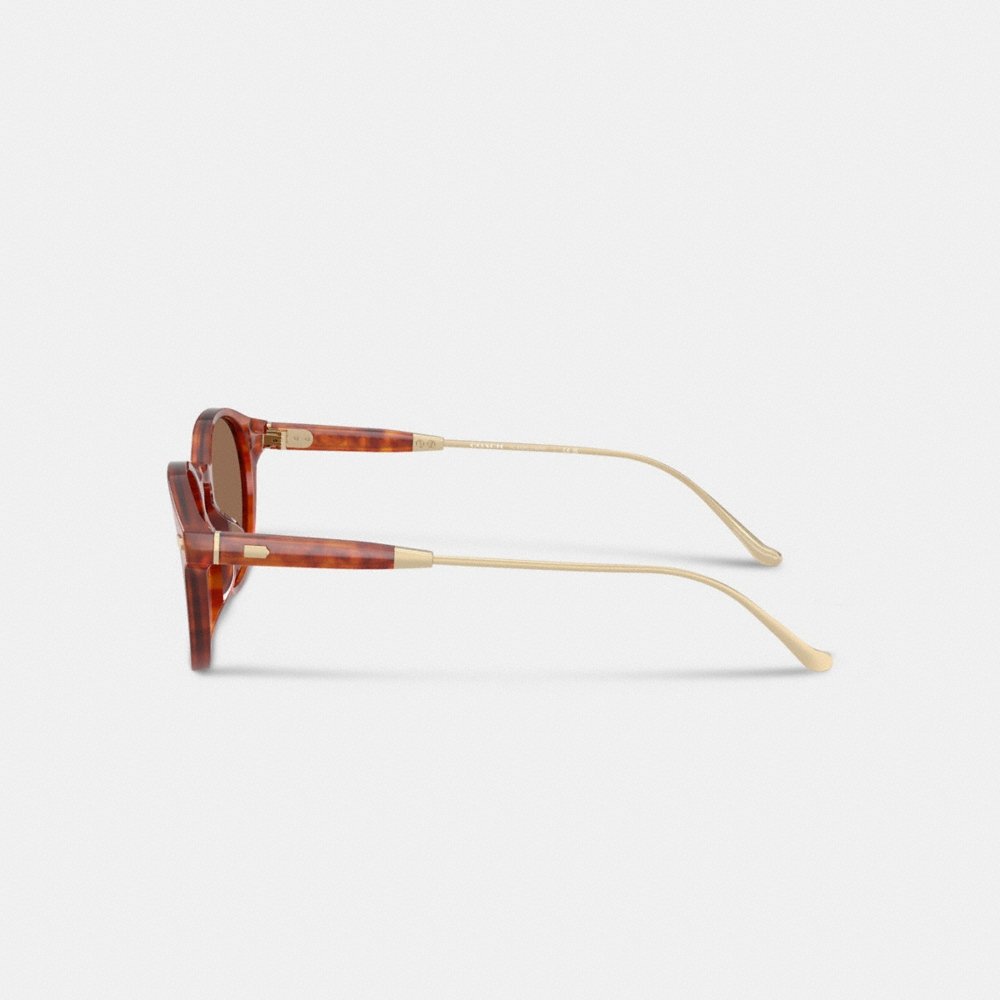 Coach Outlet Signature Round Sunglasses - Preorder