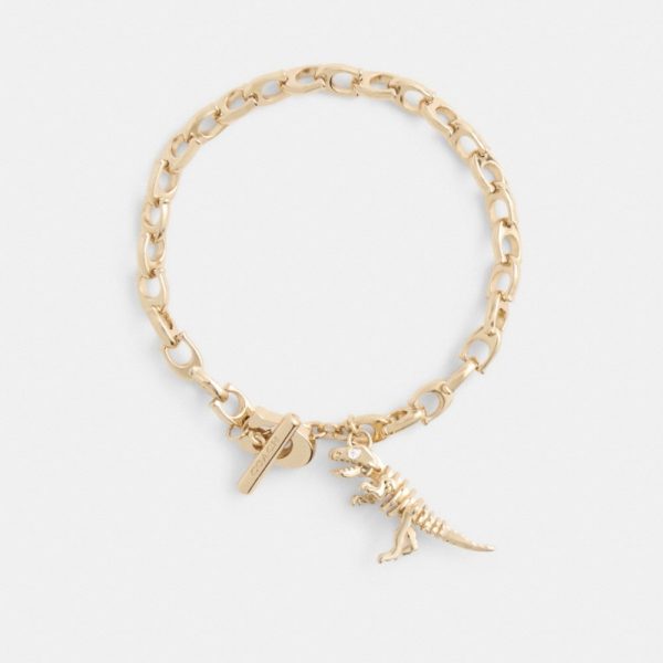 Coach Outlet Skeletal Rexy Signature Chain Bracelet - Preorder