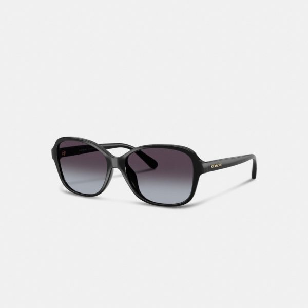 Coach Outlet Oversized Oval Sunglasses - Preorder