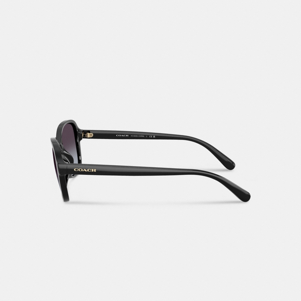 Coach Outlet Oversized Oval Sunglasses - Preorder