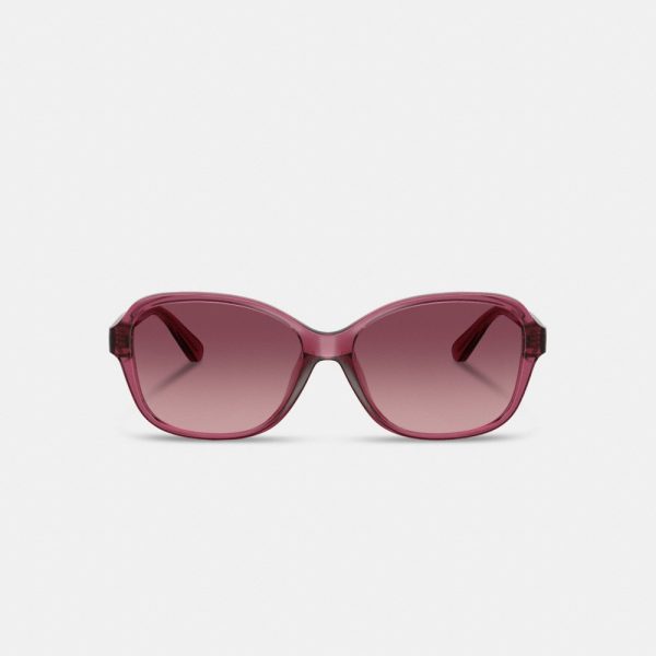Coach Outlet Oversized Oval Sunglasses - Preorder