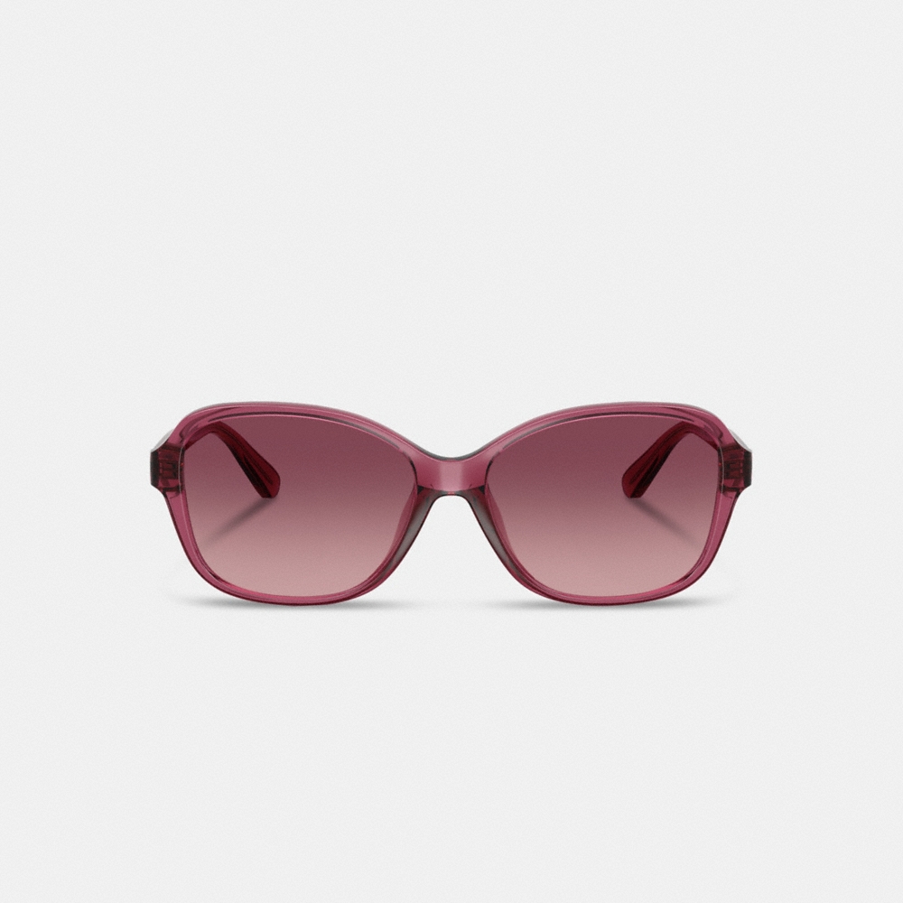 Coach Outlet Oversized Oval Sunglasses - Preorder