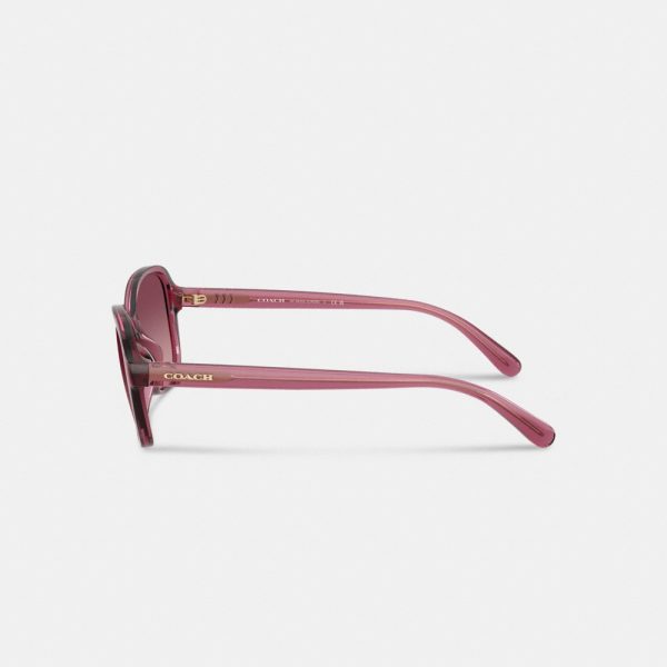 Coach Outlet Oversized Oval Sunglasses - Preorder
