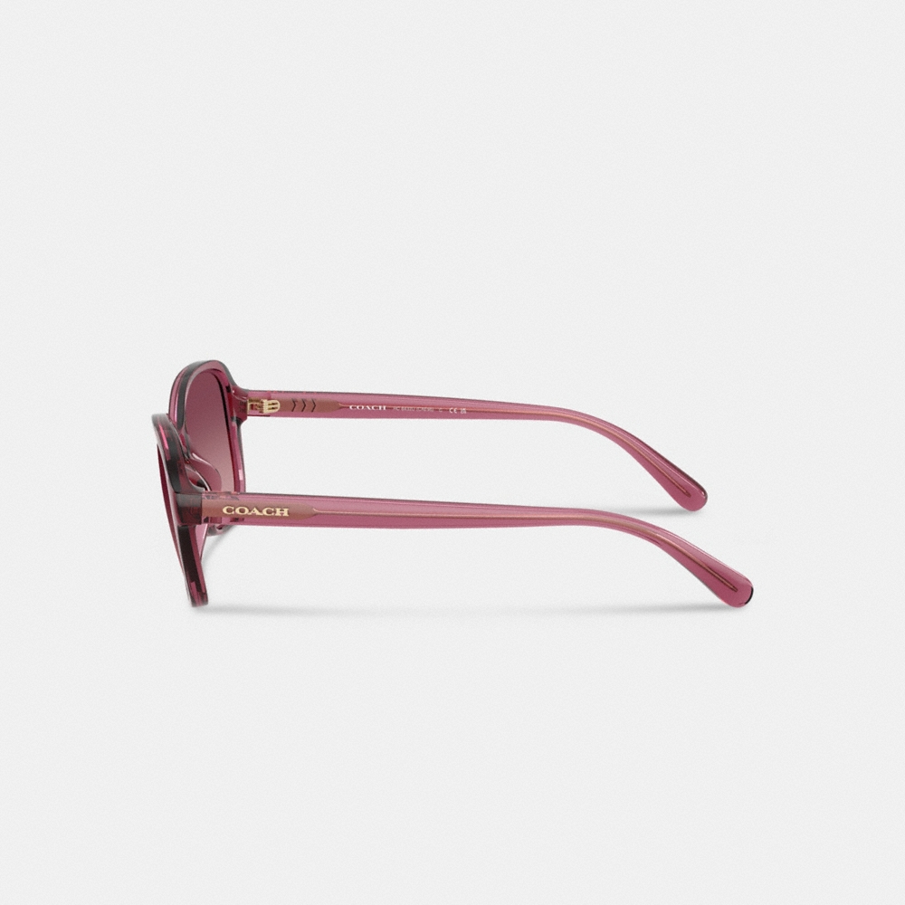 Coach Outlet Oversized Oval Sunglasses - Preorder