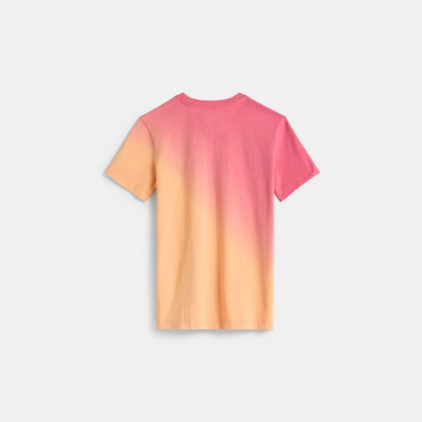 Coach Restored Ombré Horse And Carriage T-Shirt In Organic Cotton - Preorder