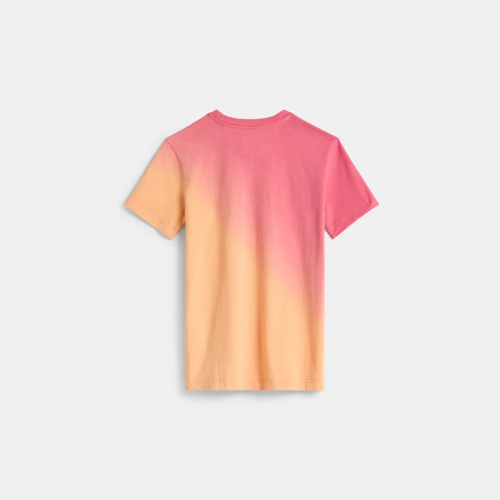 Coach Restored Ombré Horse And Carriage T-Shirt In Organic Cotton - Preorder