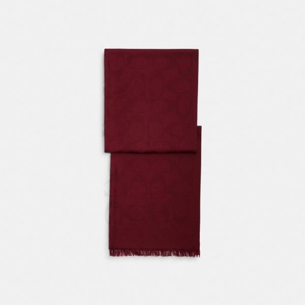 Coach Outlet Signature Wrap - Preorder