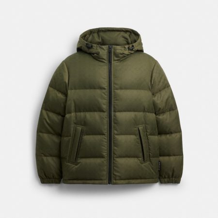 Light Olive
